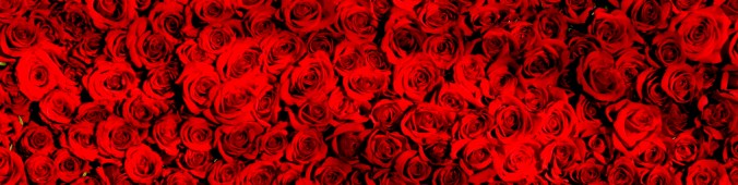 AnotherCivilWar - Footer